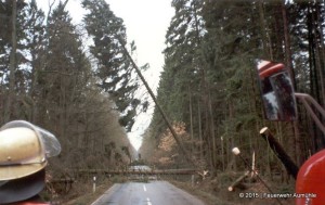 L208 zwischen Aumühle und Kröppelshagen bei einm Sturm im Jahr 1993.