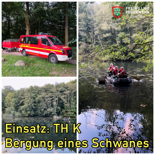 TH K Tier – Bergung eines Schwans