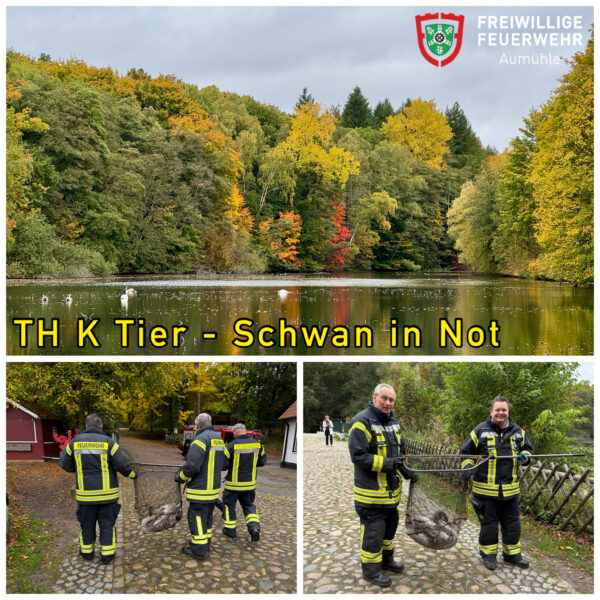 TH K Tier – Schwan in Not