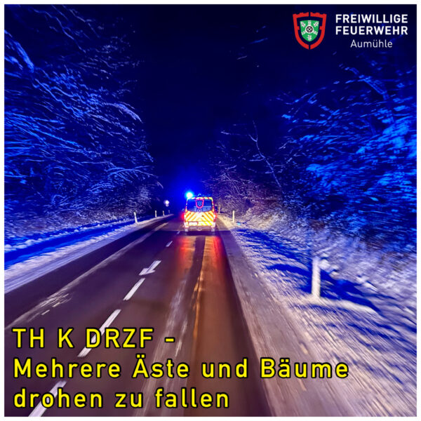 TH K DRZF – Bäume drohen zu fallen
