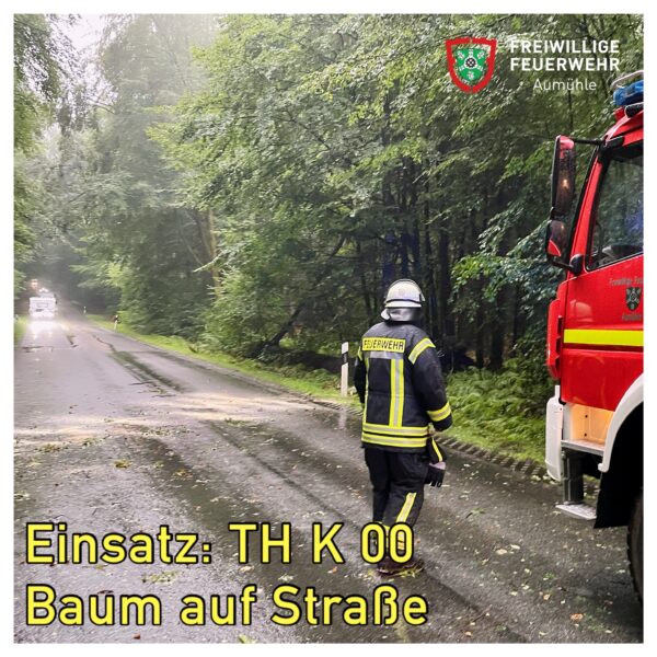TH K 00 – Baum auf Straße